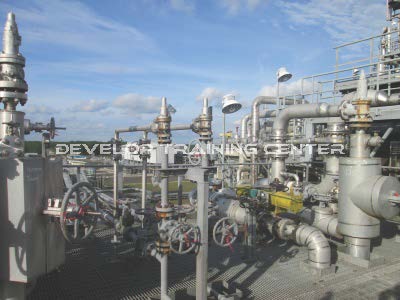 Functional Process Safety Engineering Training