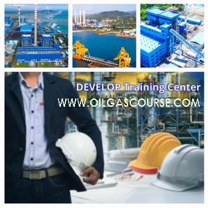 DEVELOP Project Engineer