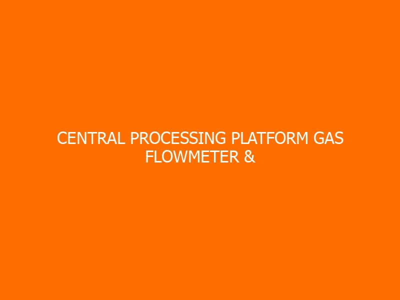 Central Processing Platform Gas Flowmeter & Custody Installation Workshop