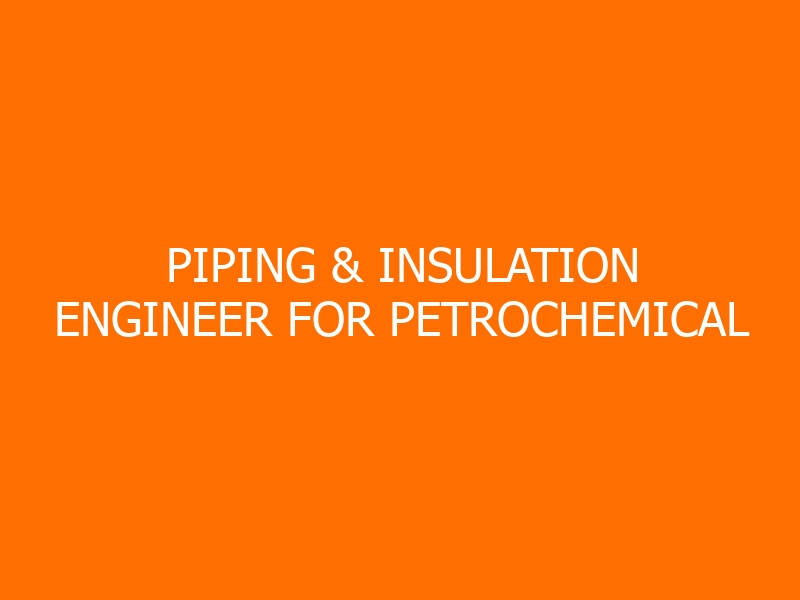 Piping & Insulation Engineer for Petrochemical Plant Training