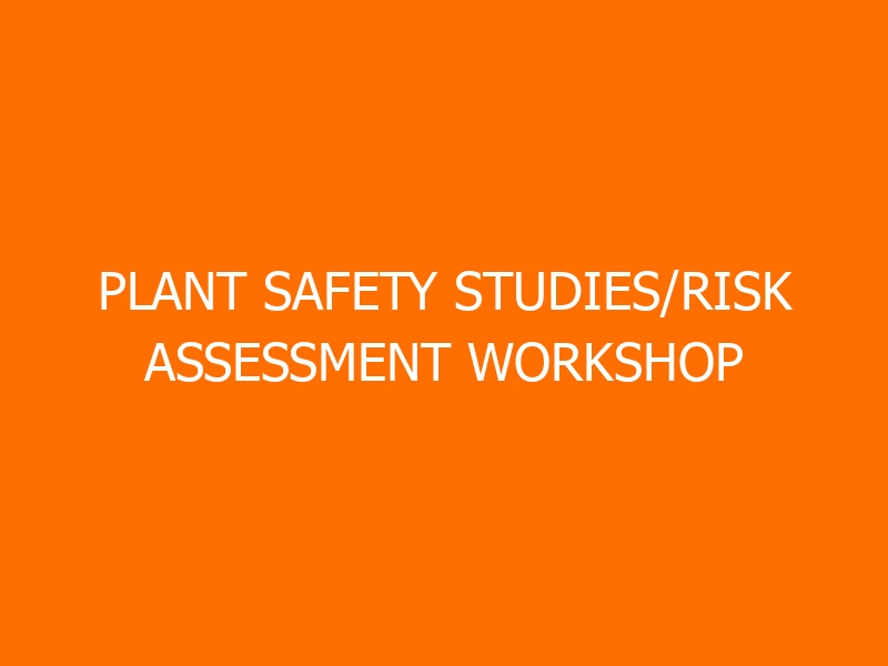 Plant Safety Studies/Risk Assessment Workshop