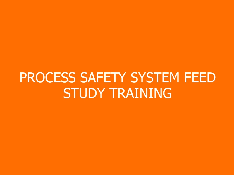Process Safety System FEED Study Training