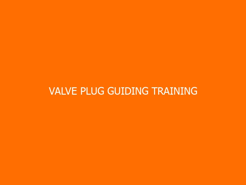 Valve Plug Guiding Training